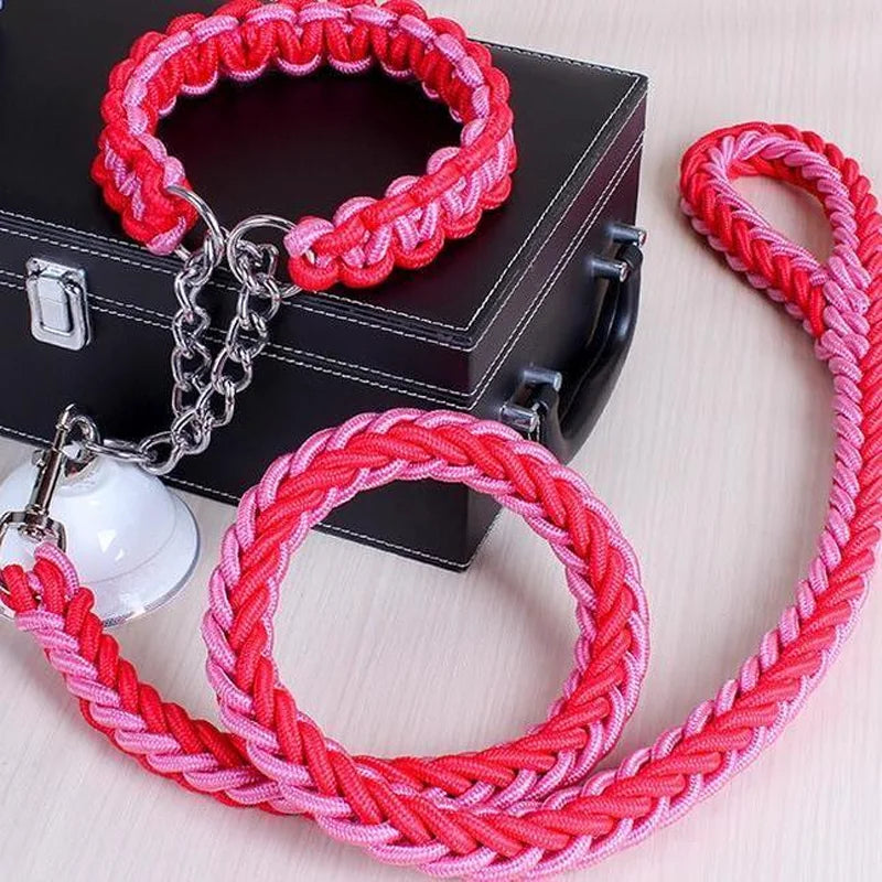 Nylon hondenriem met halsband – 1,2m