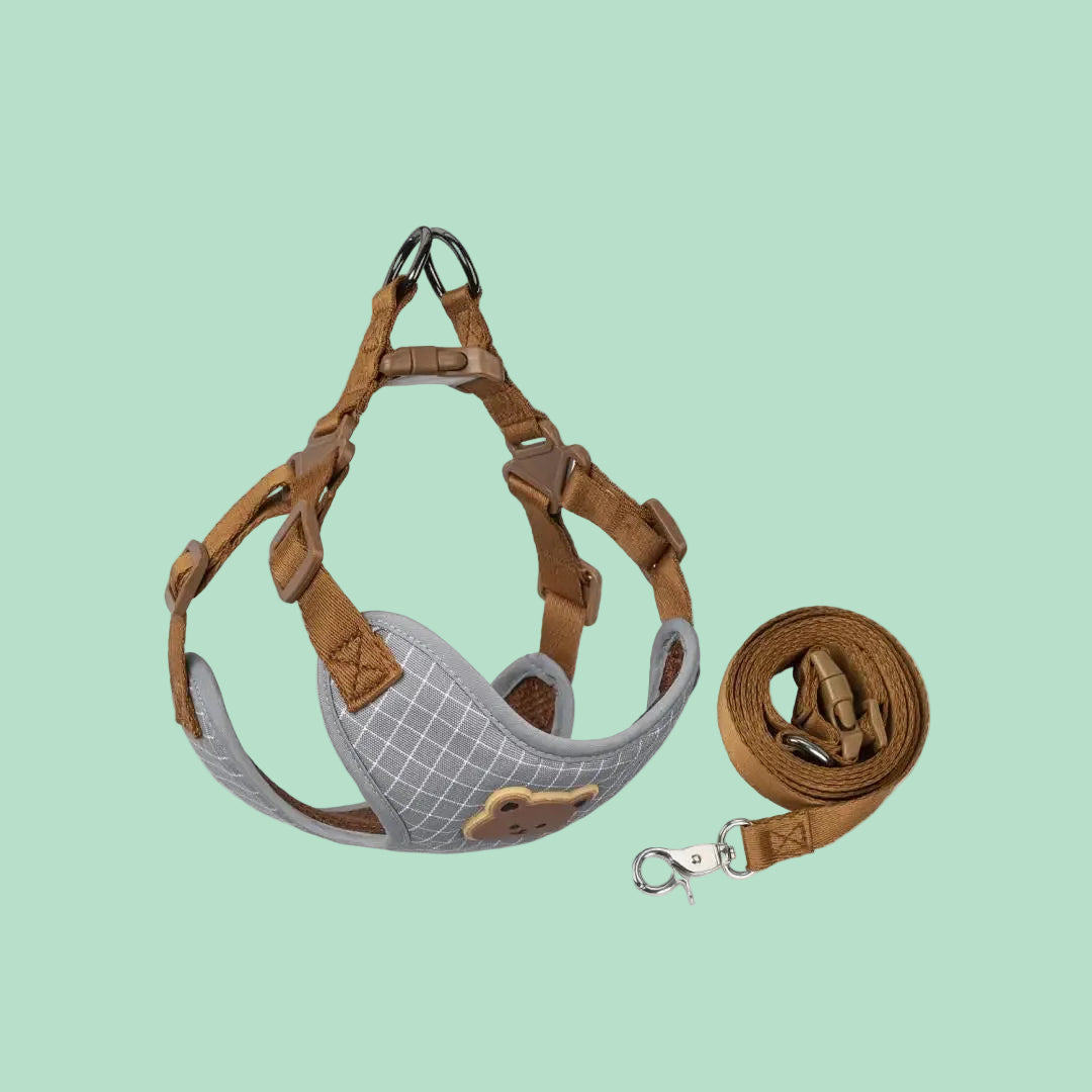 Pawlio tuigje & riem set