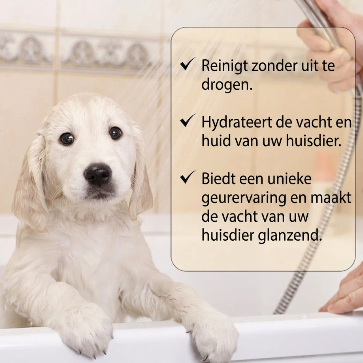 🐾 Hydraterende honden -en katten shampoo – Zachte reiniging en hydraterende verzorging voor een gezonde vacht