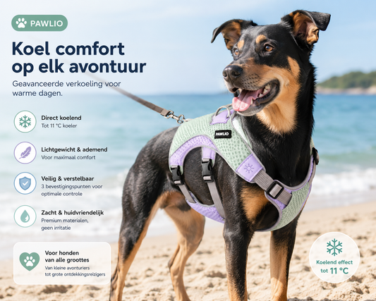 Pawlio verkoelend hondentuig voor de zomer