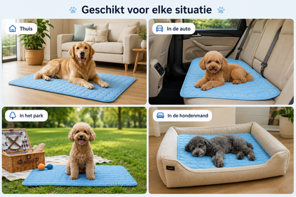 🐾 Pawlio koelmat voor honden & katten