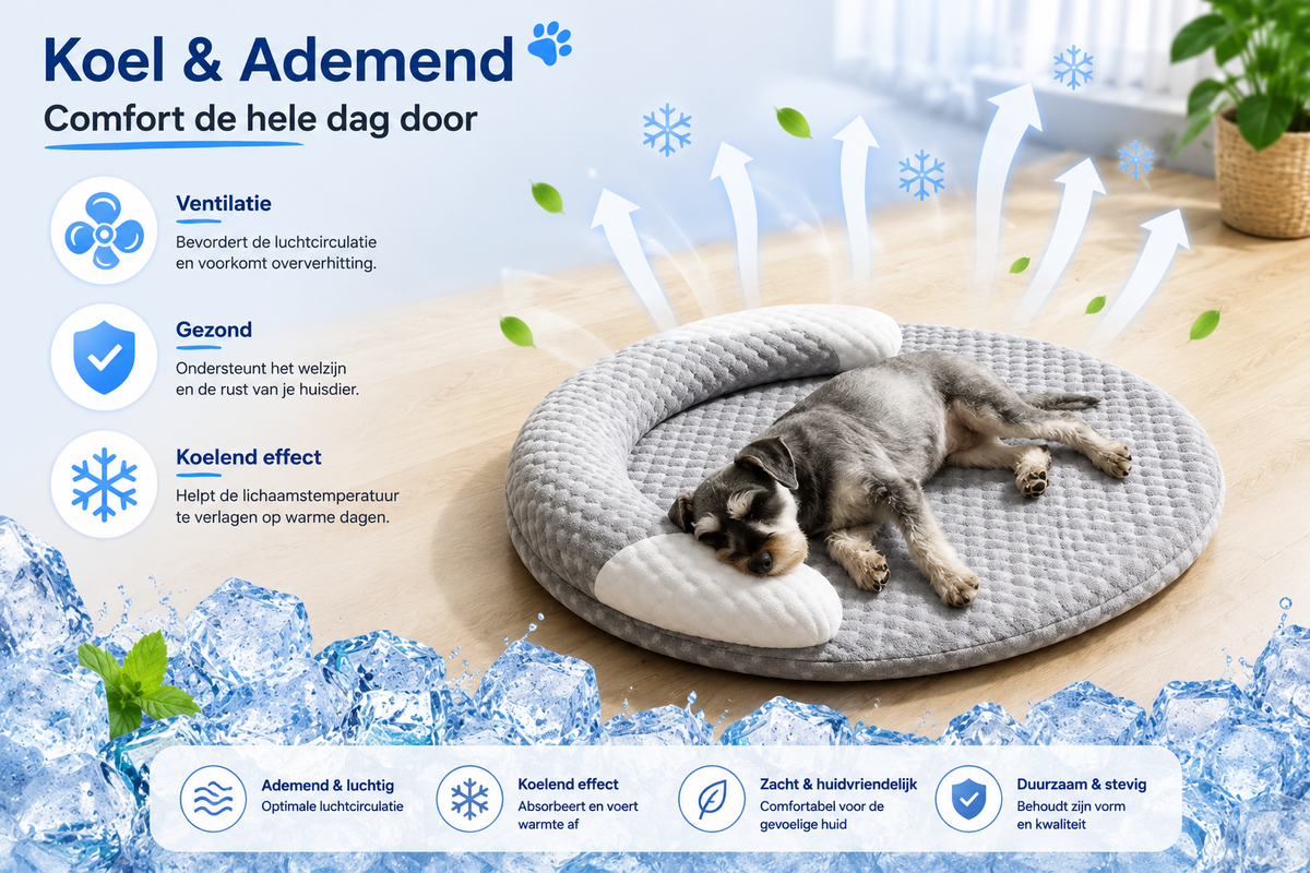 Pawlio ovaal verkoelend bed