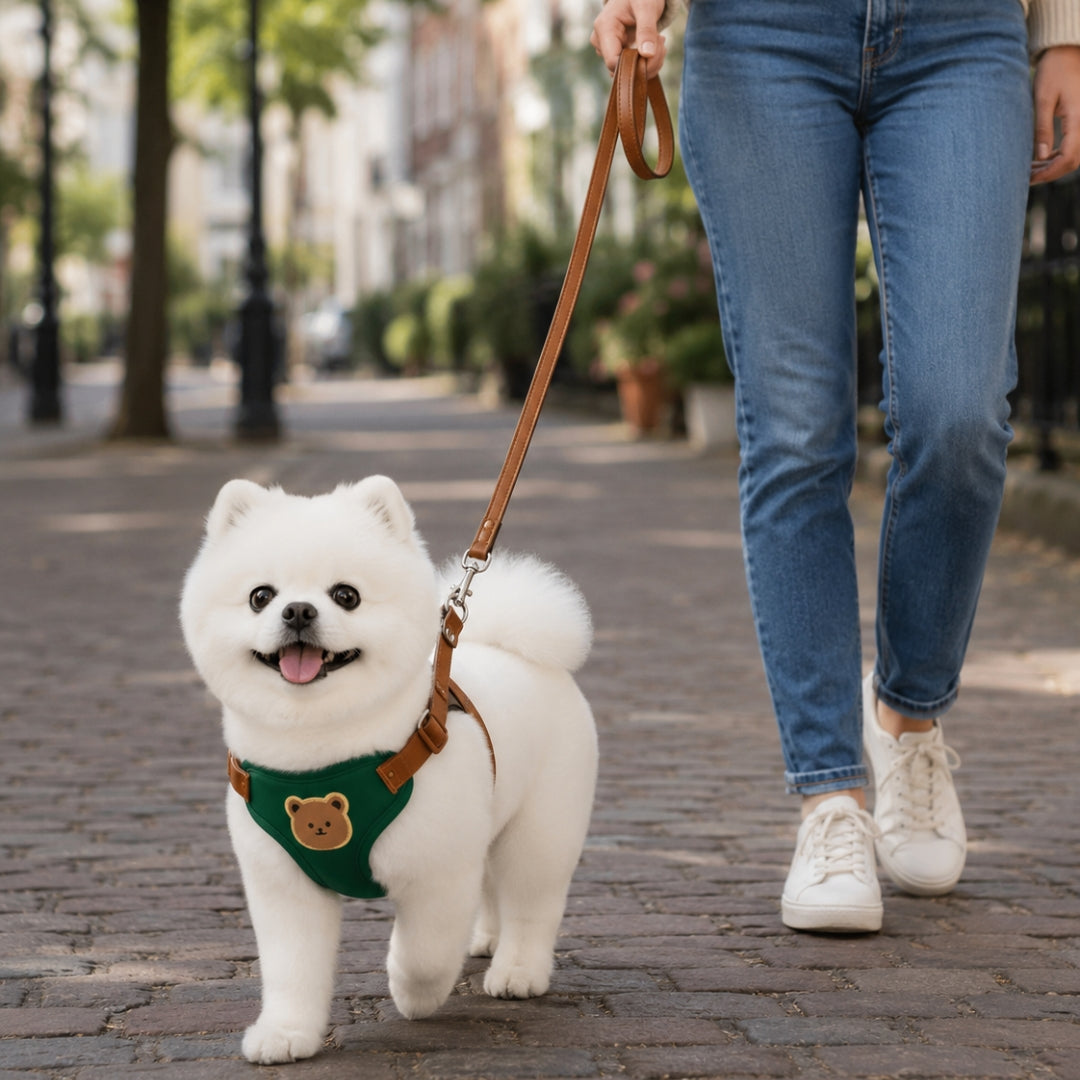 Pawlio tuigje & riem set