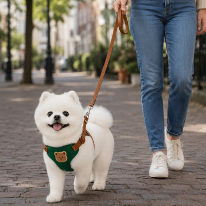 Pawlio tuigje & riem set