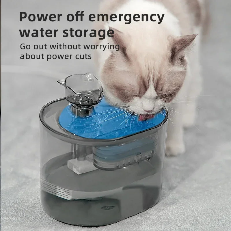 🐾 Pawlio drinkfontein voor katten – 2,2L USB elektrisch, stil & automatisch met filter