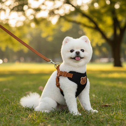 Pawlio tuigje & riem set