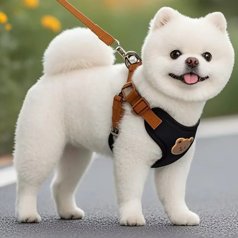 Pawlio tuigje & riem set