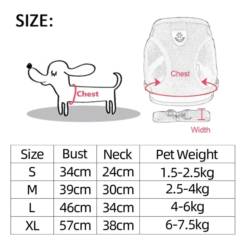 Pawlio katten -en hondenharnas Pro