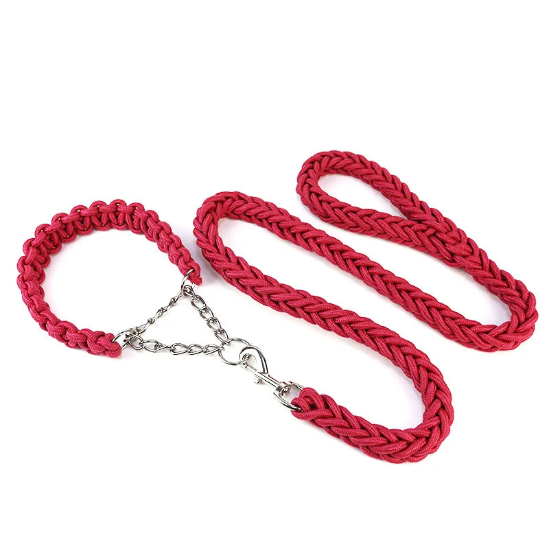 Nylon hondenriem met halsband – 1,2m