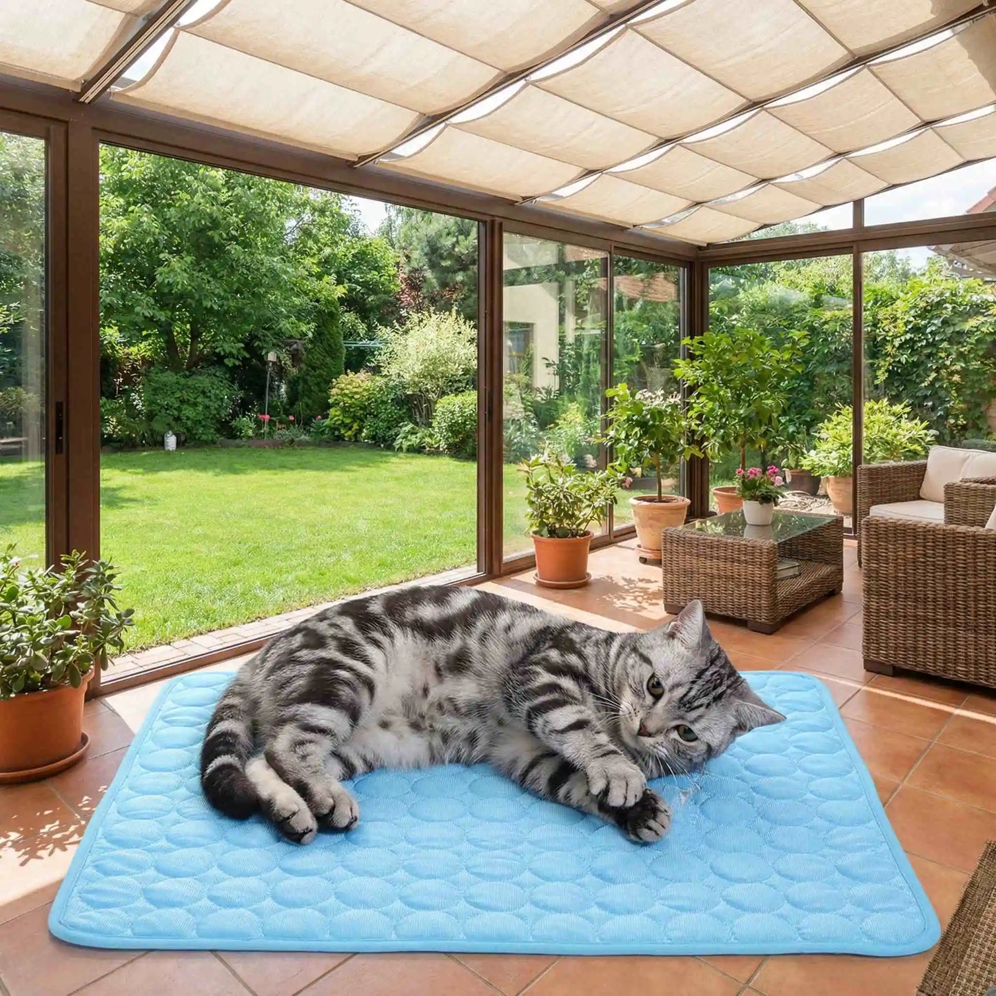 🐾 Pawlio koelmat voor honden & katten