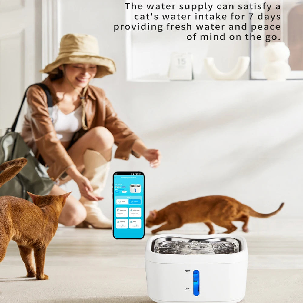 🐾 Pawlio smart waterdispenser – App-gestuurd drinkfontein voor katten & honden