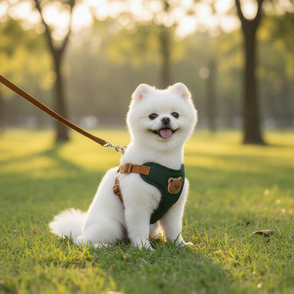 Pawlio tuigje & riem set