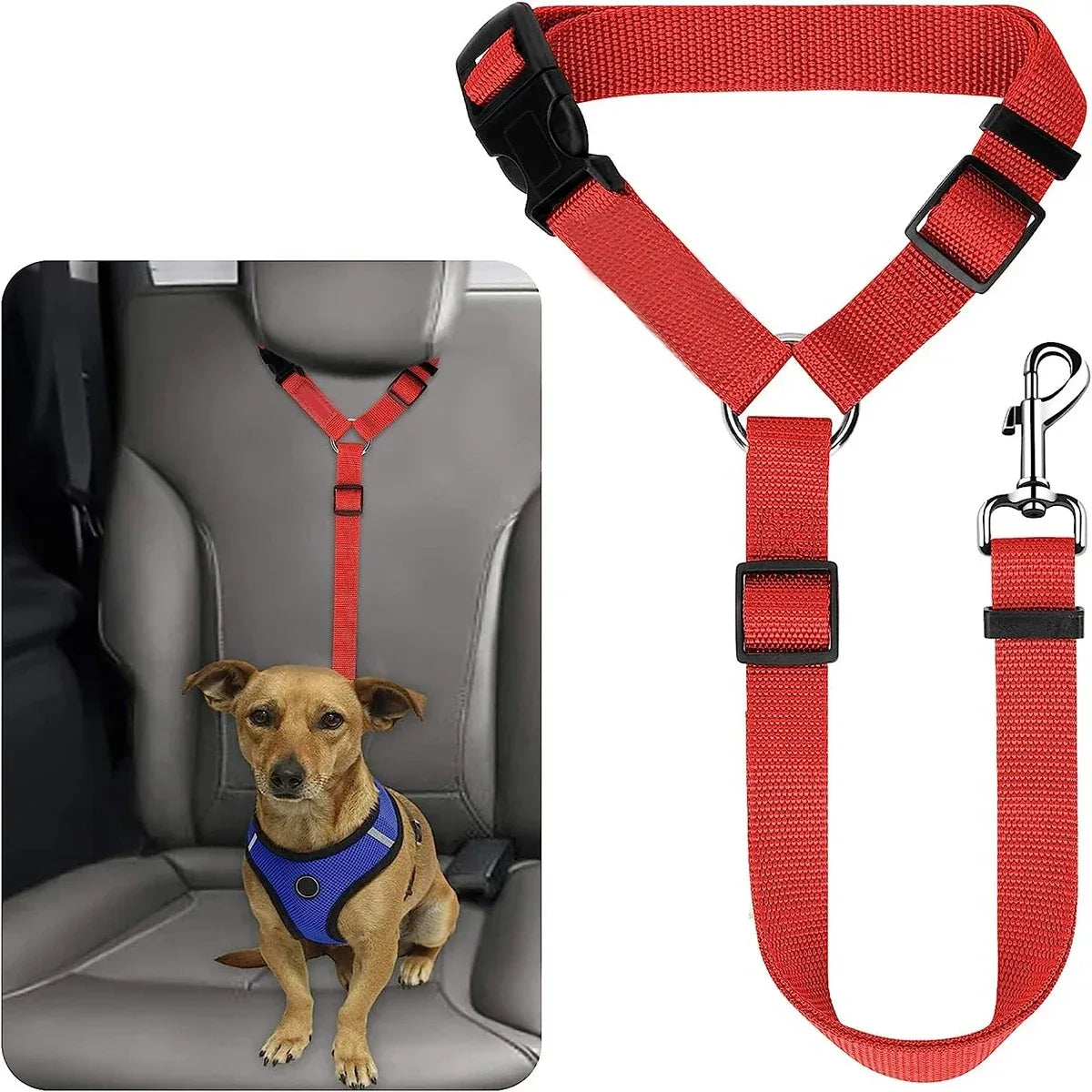 Pawlio autogordel voor honden & katten – Verstelbare nylon veiligheidsgordel