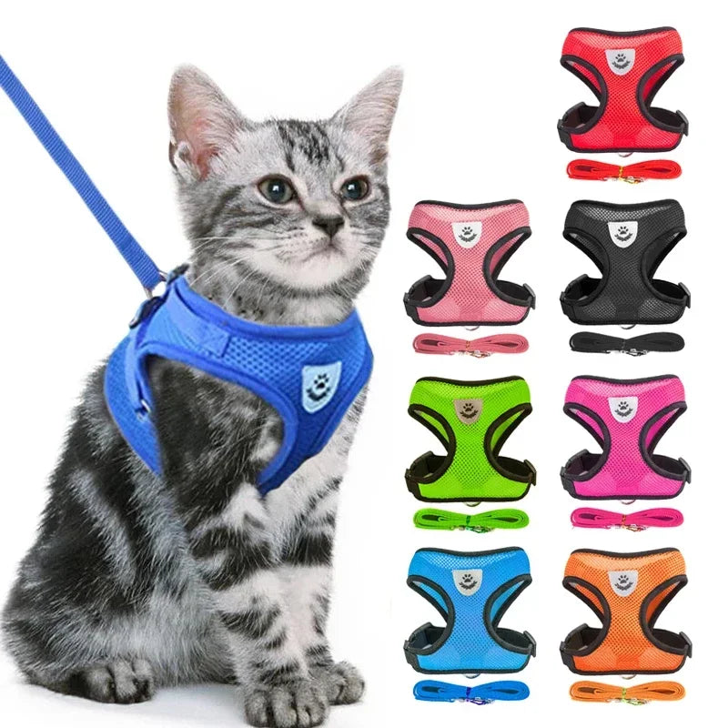 Pawlio katten -en hondenharnas Pro