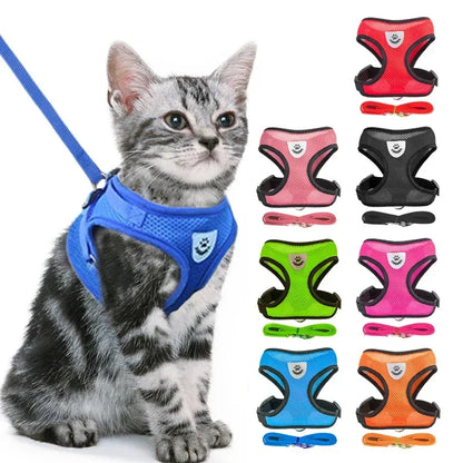 Pawlio katten -en hondenharnas Pro