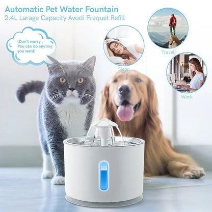 🐾 Pawlio drinkfontein voor katten – 3,2L roestvrij staal, USB, stil & slim met waterniveauvenster