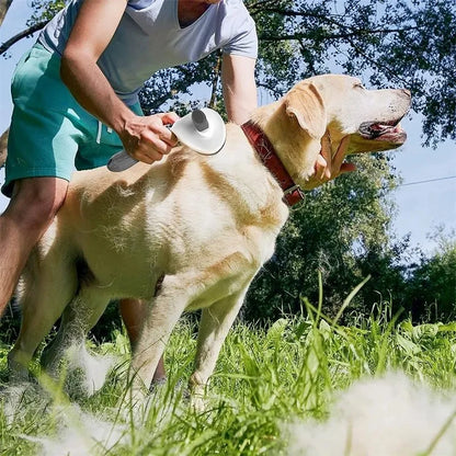 🐾 Zelfreinigende honden- en kattenborstel – verzorgingsborstel voor losse haren en klitten