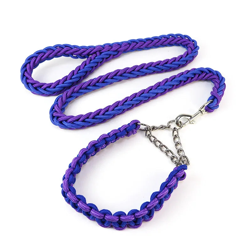 Nylon hondenriem met halsband – 1,2m