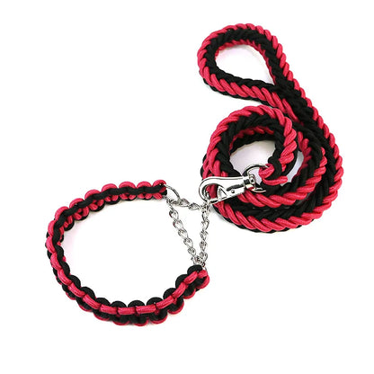 Nylon hondenriem met halsband – 1,2m