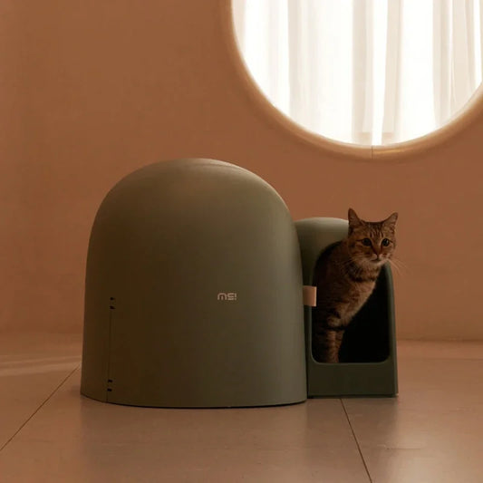 Pawlio premium kattenbak XL – Volledig gesloten, geurwerend & milieuvriendelijk