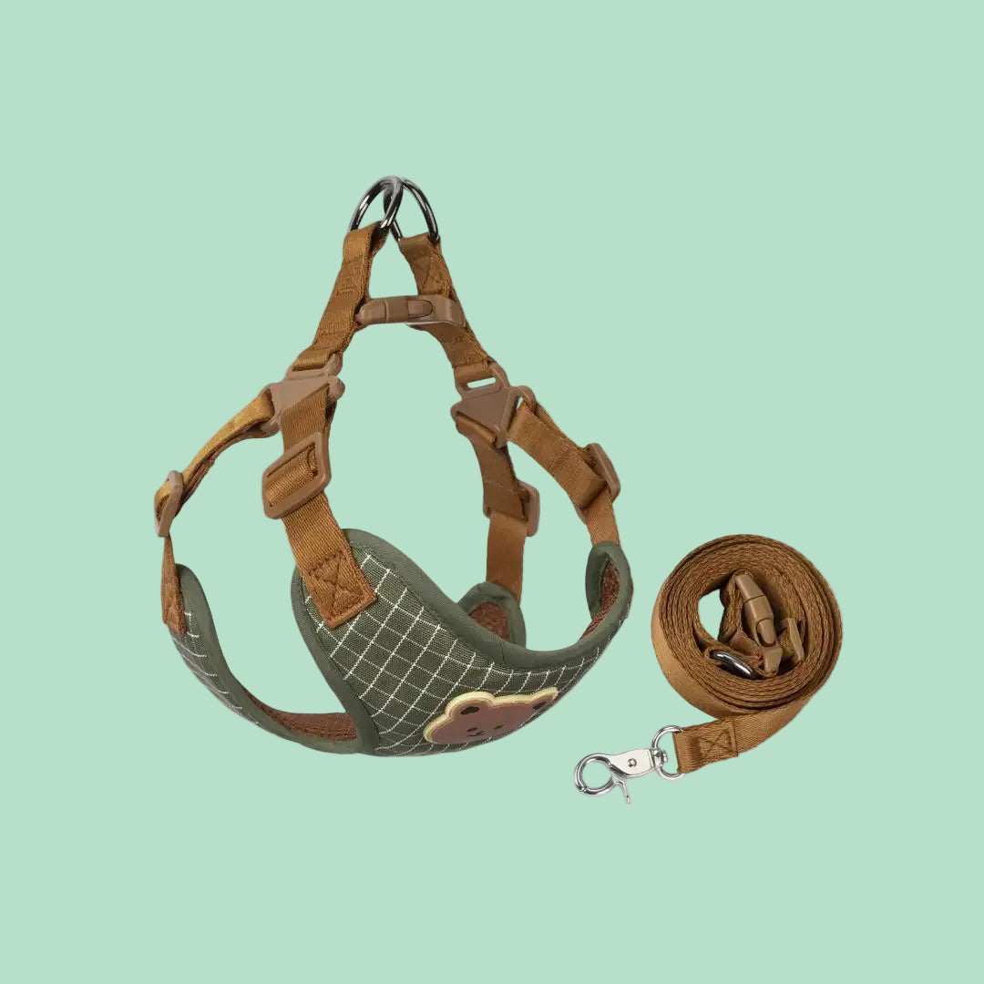 Pawlio tuigje & riem set