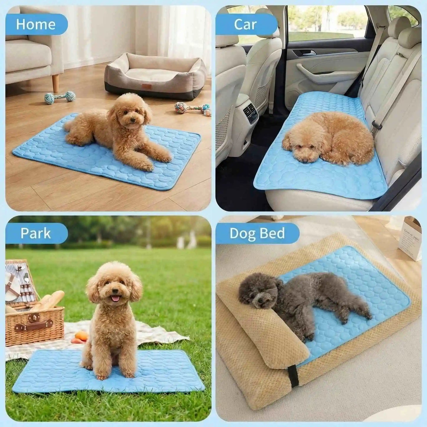 🐾 Pawlio koelmat voor honden & katten