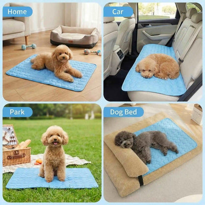 🐾 Pawlio koelmat voor honden & katten