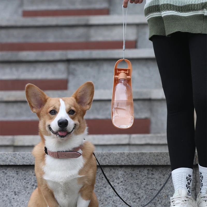 🐾 Draagbare waterfles voor honden – opvouwbare drinkfles voor wandelen en reizen