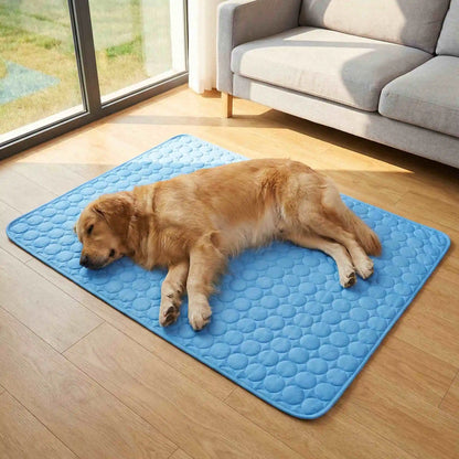 🐾 Pawlio koelmat voor honden & katten