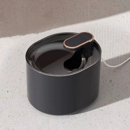 🐾 Pawlio drinkfontein voor katten & honden – droog drinken, automatisch circulatiefilter