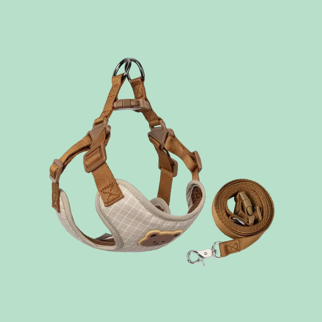 Pawlio tuigje & riem set