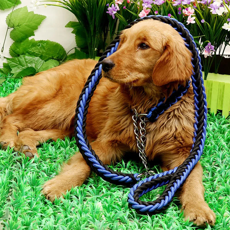 Nylon hondenriem met halsband – 1,2m