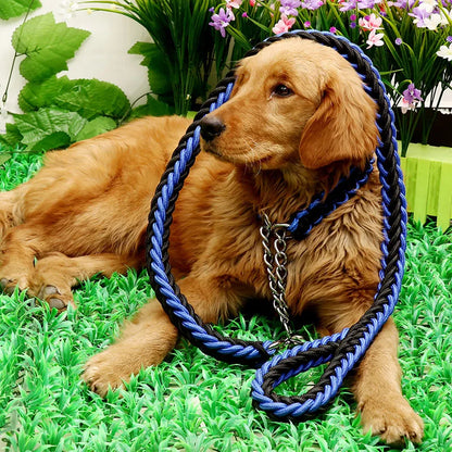 Nylon hondenriem met halsband – 1,2m