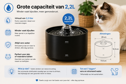 🐾 Fontaine à eau pour chats Pawlio 2,2L – Ultra-silencieuse, USB & automatique avec filtre