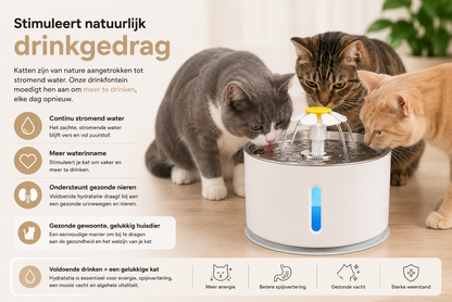 🐾 Pawlio RVS Drinkfontein 3,2L – Fluisterstil voor katten & honden