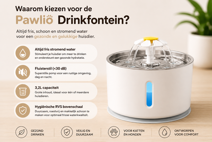 🐾 Pawlio RVS Drinkfontein 3,2L – Fluisterstil voor katten & honden