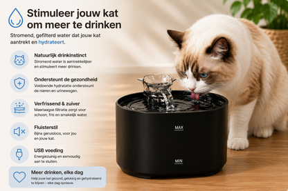 🐾 Fontaine à eau pour chats Pawlio 2,2L – Ultra-silencieuse, USB & automatique avec filtre