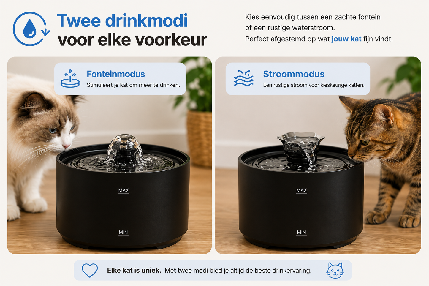 🐾 Fontaine à eau pour chats Pawlio 2,2L – Ultra-silencieuse, USB & automatique avec filtre