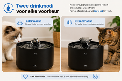 🐾 Fontaine à eau pour chats Pawlio 2,2L – Ultra-silencieuse, USB & automatique avec filtre