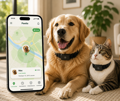 Pawlio GPS-tracker met realtime locatie voor honden