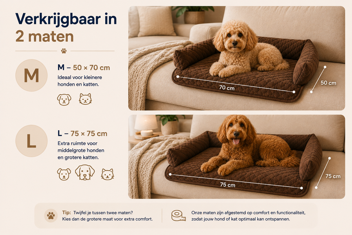 Pawlio SofaComfort hondenbed verkrijgbaar in maat M 50x70 cm en L 75x75 cm