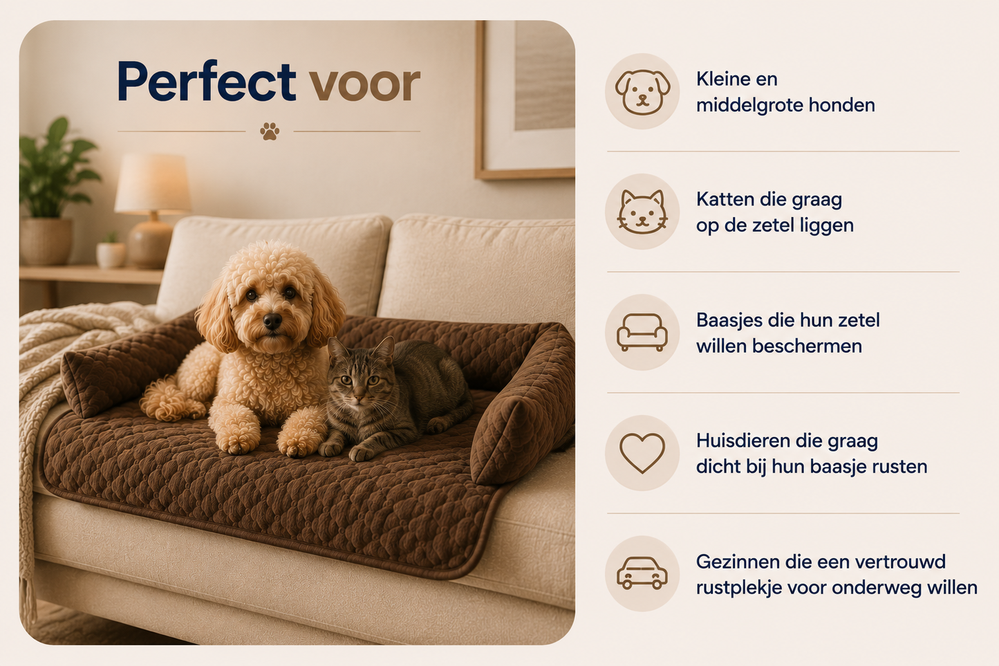 Pawlio SofaComfort hondenbed voor kleine en middelgrote honden en katten op de zetel
