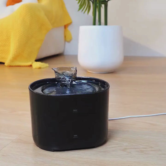 🐾 Pawlio drinkfontein voor katten – 2,2L USB elektrisch, stil & automatisch met filter