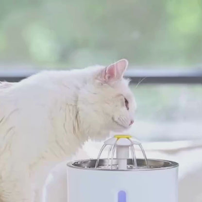 🐾 Pawlio drinkfontein voor katten – 3,2L roestvrij staal, USB, stil & slim met waterniveauvenster