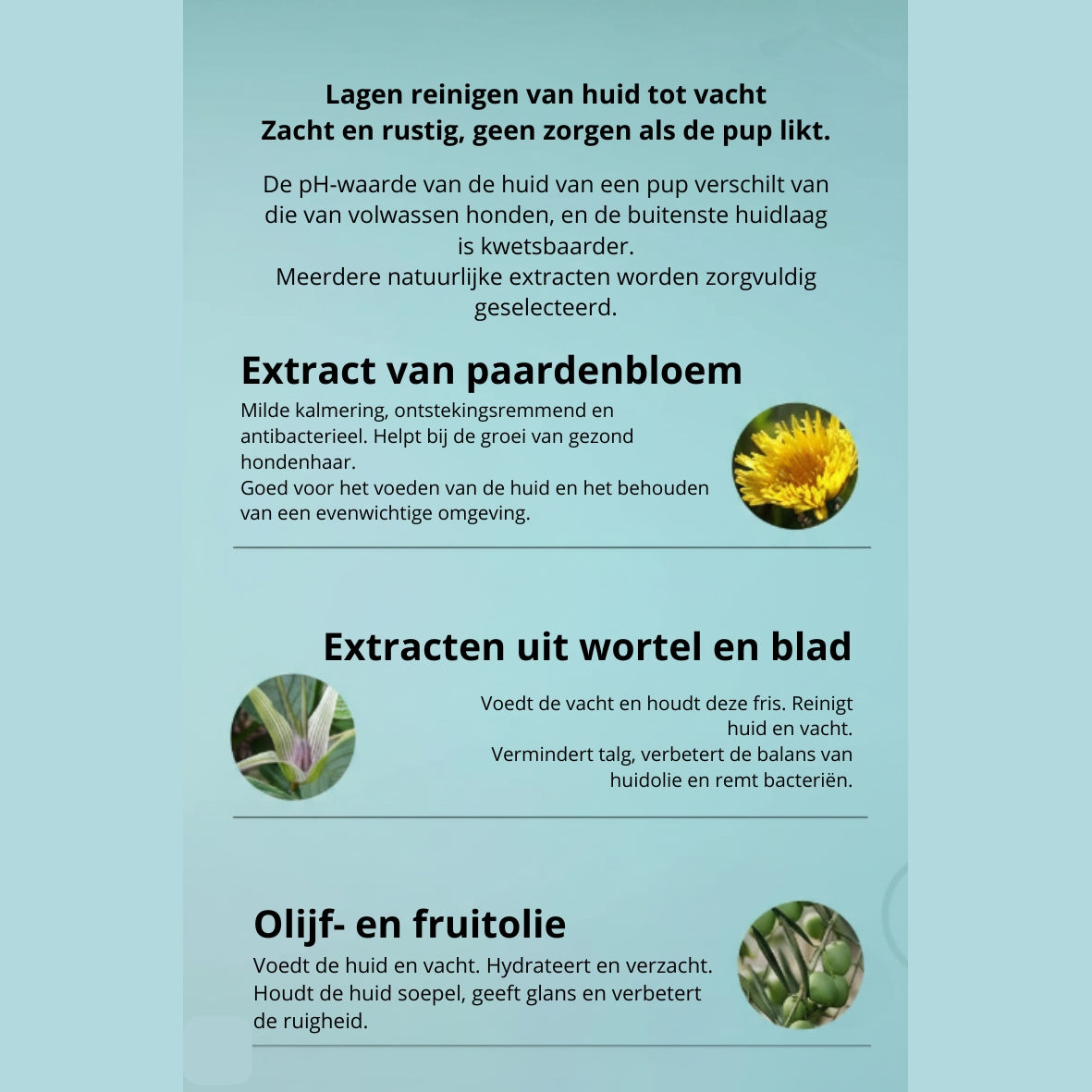 🐾 Verzorgende honden- en katten shampoo – milde shampoo voor gevoelige huid en gezonde vacht