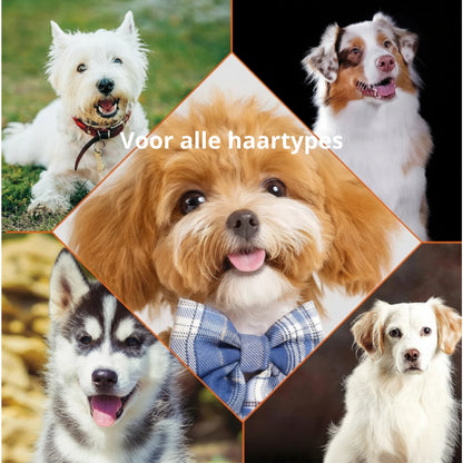 🐾 4-in-1 honden shampoo – reinigt, hydrateert, ontklit en verfrist de vacht