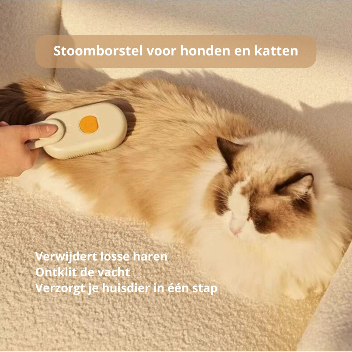 🐾 Stoomborstel voor honden en katten – elektrische 3-in-1 spray- en massageborstel