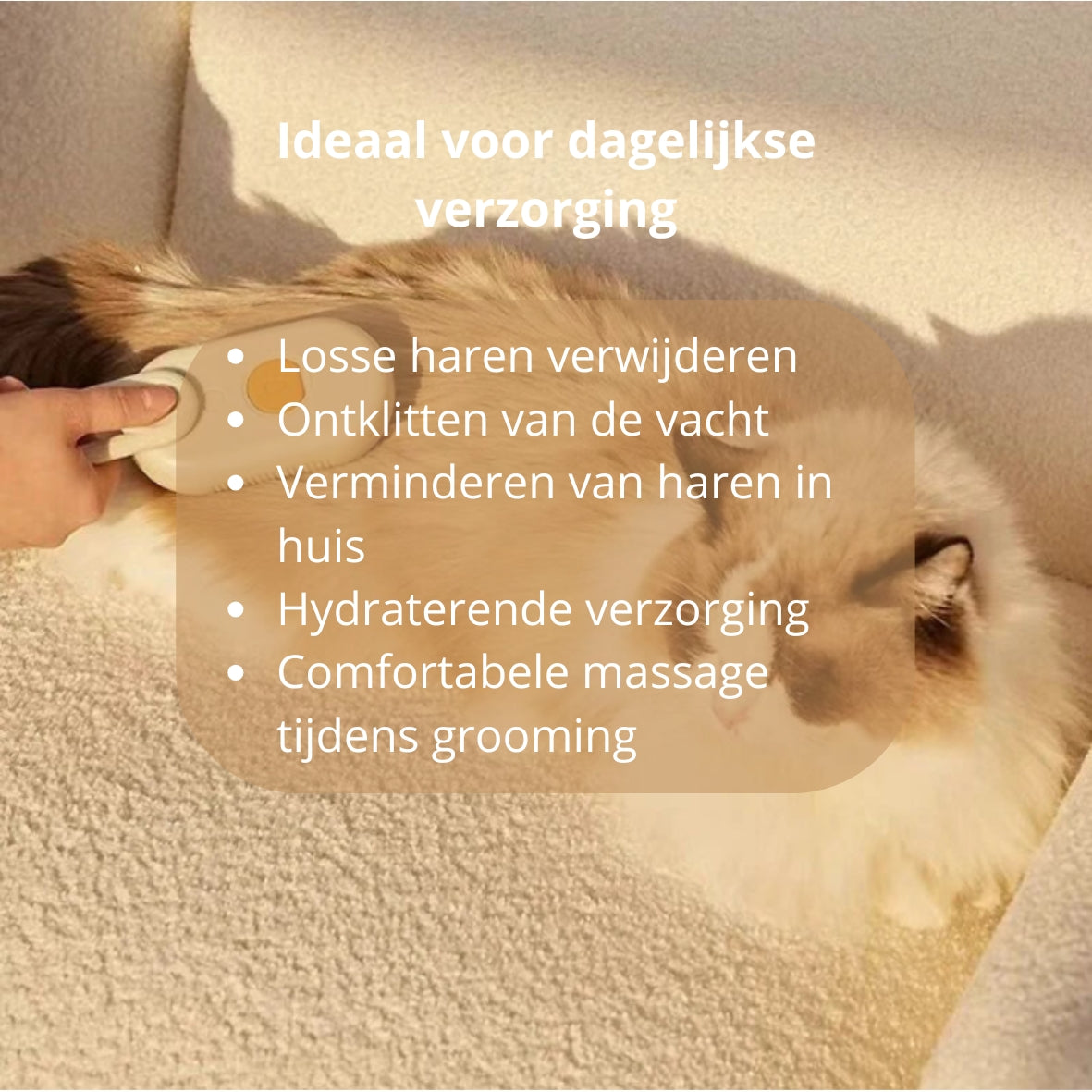 🐾 Stoomborstel voor honden en katten – elektrische 3-in-1 spray- en massageborstel