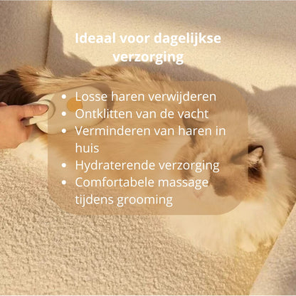 🐾 Stoomborstel voor honden en katten – elektrische 3-in-1 spray- en massageborstel
