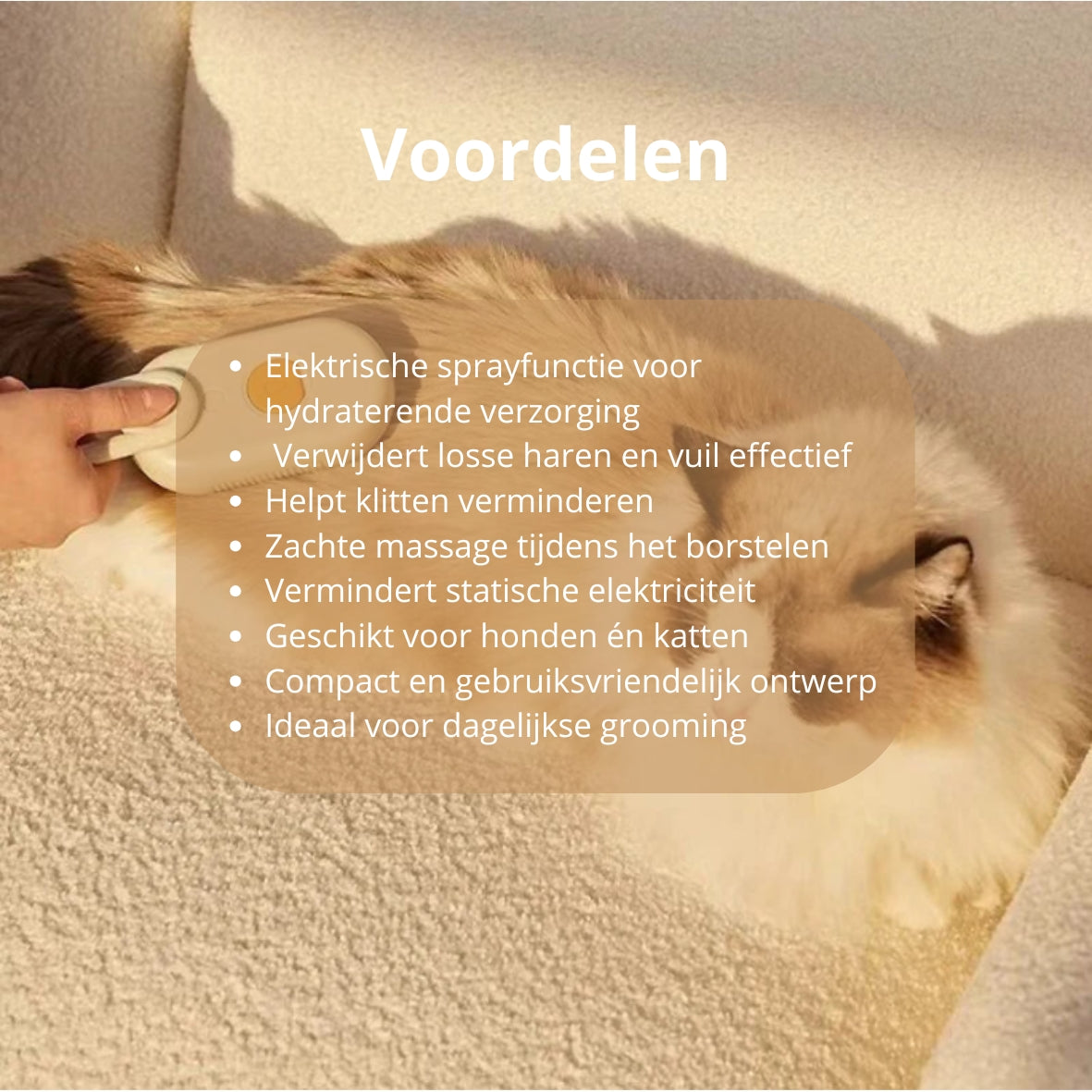 🐾 Stoomborstel voor honden en katten – elektrische 3-in-1 spray- en massageborstel